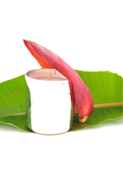 Banana Blossom